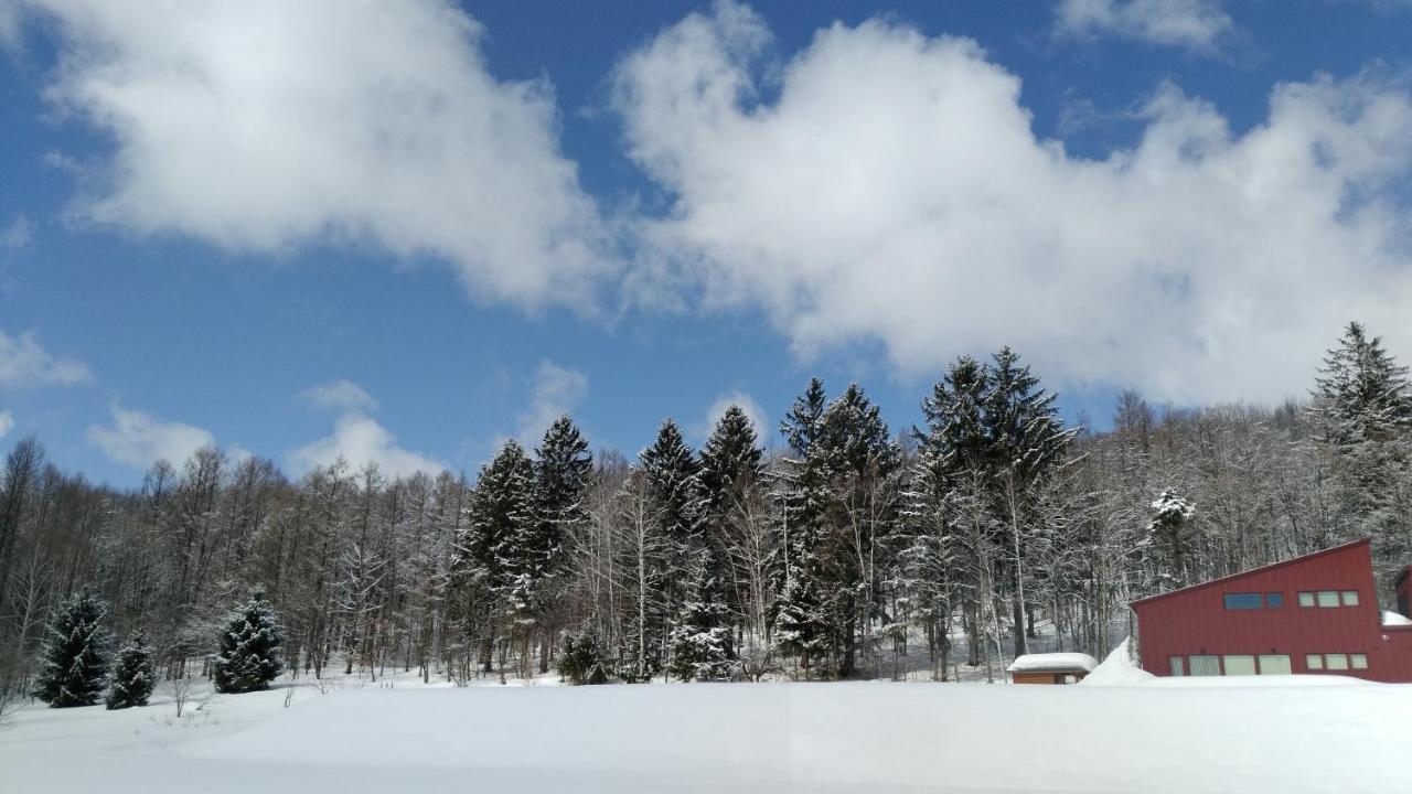 Hotel Hanafuji Inn Naka-furano Luaran gambar